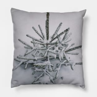 little fir tree Pillow