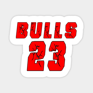 BULLS GLASES Magnet