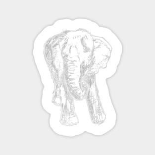 Elephant Sketch (Light) Magnet