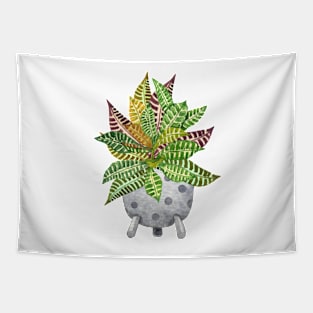 Croton plant Tapestry