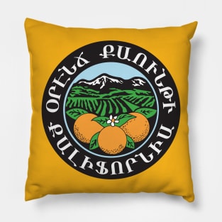 Orange County Armenian * Օրէնճ Քաունթի Pillow