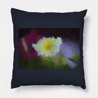 Designer 141958 x7 Pillow