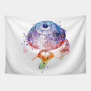 Eye Anatomy Watercolor Painting Tapestry