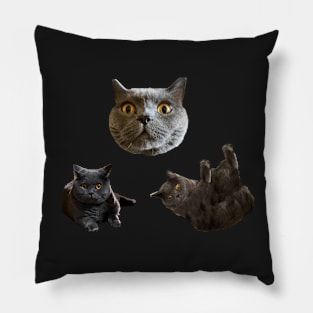 Tiny Chartreux Sticker Pack Pillow