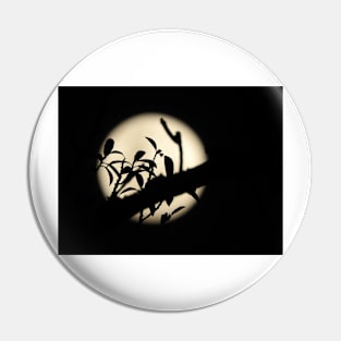 Full moon through the branches Pin