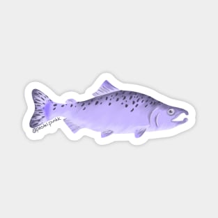 Purple Salmon Magnet