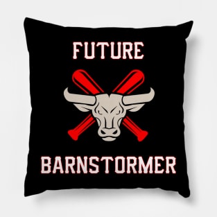 Future Barnstormer Pillow