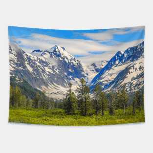 USA. Alaska. Snow-Covered Mountains. Tapestry