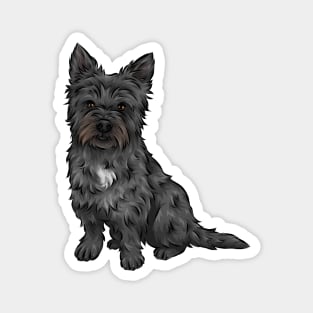 Black Cairn Terrier Dog Magnet