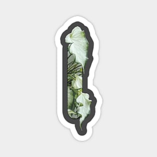 Botanical Alphabet Magnet