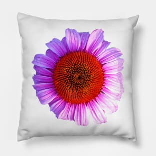 pink daisy outline Pillow