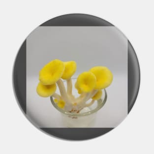 Yellow Oyster Mushroom in glass Pin