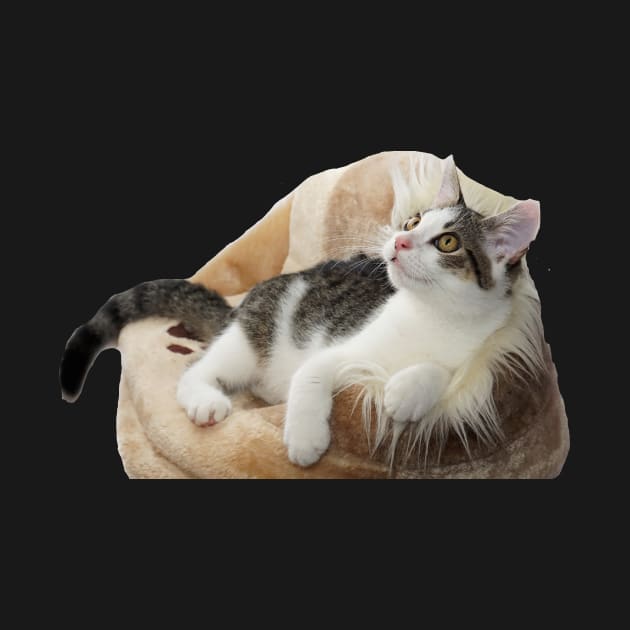 Cushion Kitty by TonSlice