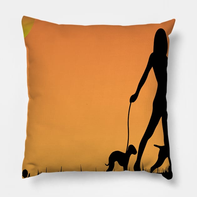 Sunset Pillow by khalid12