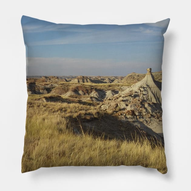 Dusty Views Pillow by IanWylie87