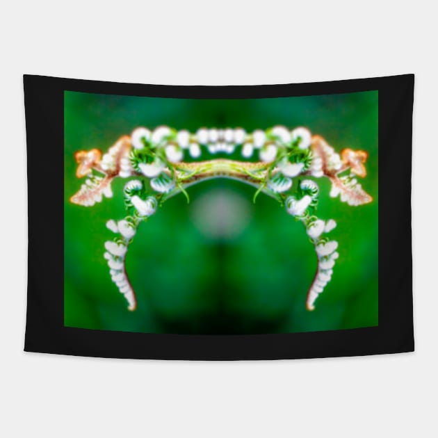 Fairy Fern Tiara Tapestry by heidiannemorris