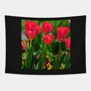 Red Tulips Tapestry