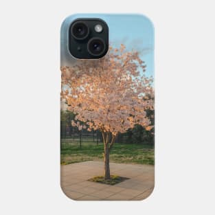 Cherry Blossom 7 Phone Case