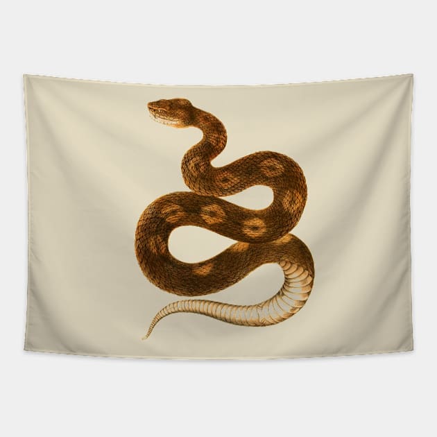 serpent,cobra,reptile,viper,venom,lizard,rattlesnake,king cobra,dragon,hydra,poison,venomous,plumber's snake,pythonidae,pythons,auger,python,squamata,serpentine,worm,big,ophidian,rattlesnakes,medusa,snakebite Tapestry by vabontchi