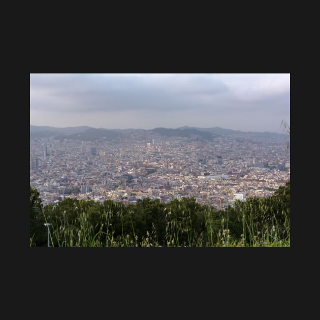 View to Barcelona city from the Montjuic hil by lena-maximova