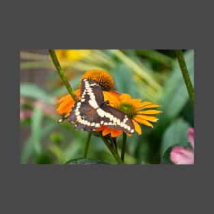 Brown and Cream Swallowtail Butterfly on Orange Coneflower T-Shirt