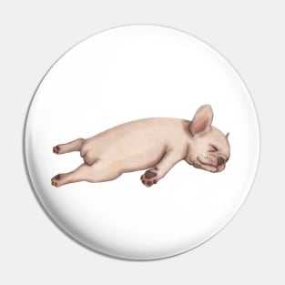Puppy Frenchie sleeping Pin