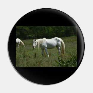 Wild Horse Pin