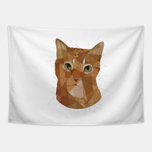 Orange Tabby Tapestry