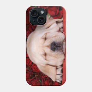 Sleeping beauty Phone Case