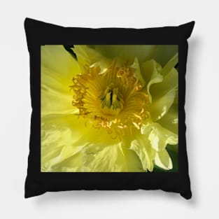 Yellow Blossom Flower Power! Pillow