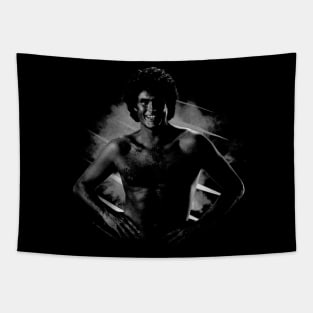 Gift For Boys And Girls Hasselhoff Funny Singer Tapestry