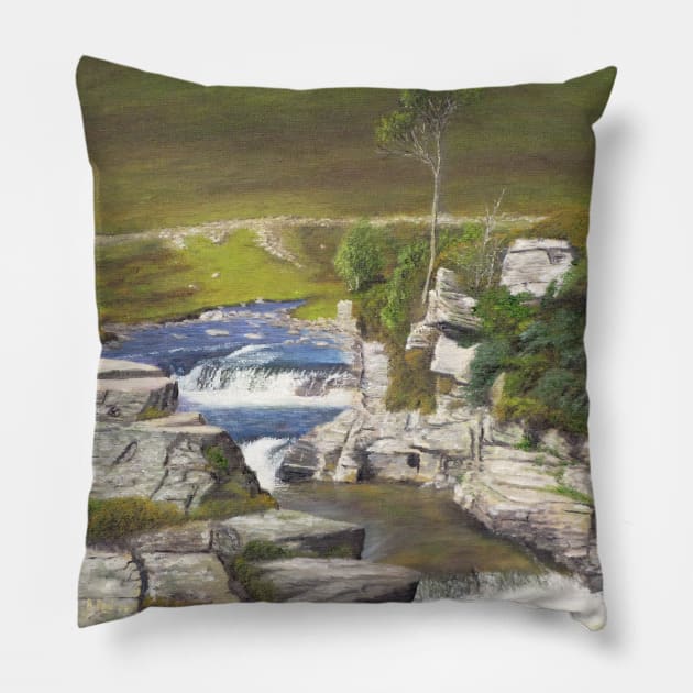 Upper Deeside Pillow by richardpaul