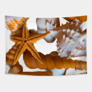 Holidays Beach Summer Seashells Tapestry