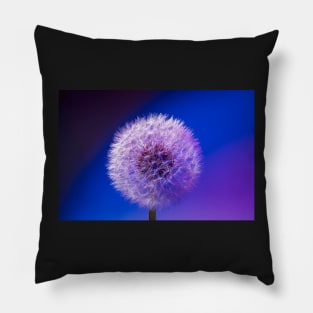 Single dandelion seed head close up Pillow