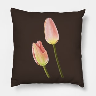 A pair of pink tulips Pillow