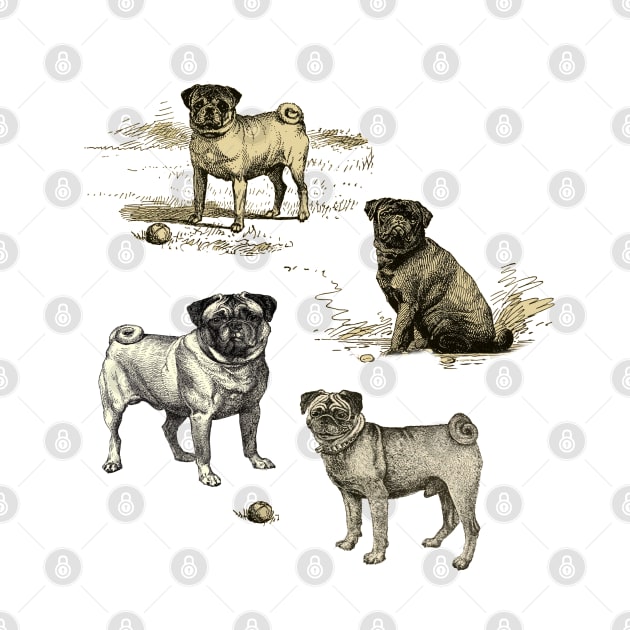 PUG DOGS by Biophilia