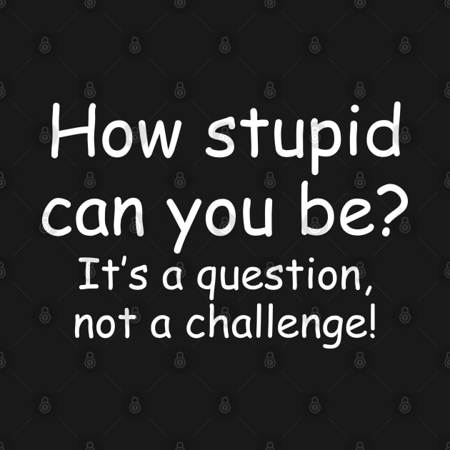 How Stupid Can You Be? It's a Question Not a Challenge! by PeppermintClover
