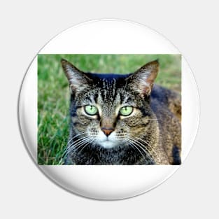 Green Cat Eyes Pin