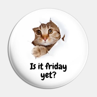 Is it Friday yet kitty? Pin