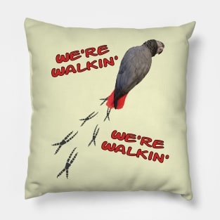 African Grey Parrot Walking Pillow