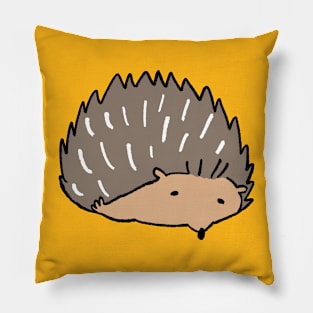 Hedgie Pillow