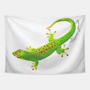 Giant day gecko with scientific name Tapestry