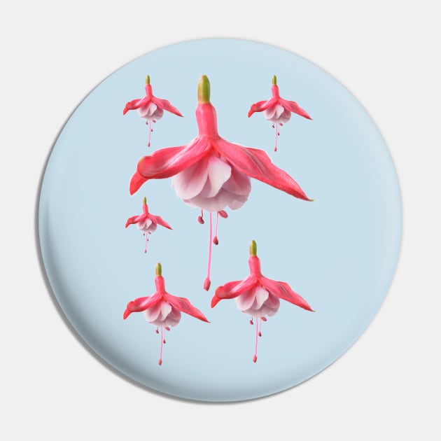 Fuchsia Pin by chrisburrows