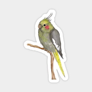 Cute female cockatiel Magnet