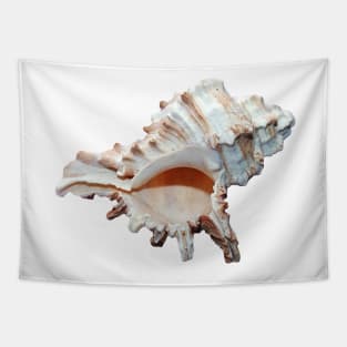 Grand conch seashell Tapestry