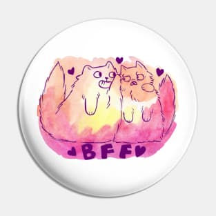 BFF Cats Pin