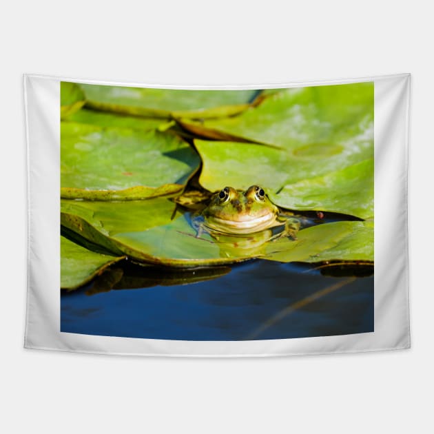 Frog Tapestry by kawaii_shop