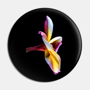 plumeria-flowers-frangipani-floral-awesome-bossom-shirtyshirto-32 Pin