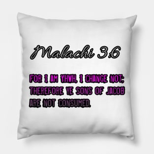 Malachi 3:6 Pillow