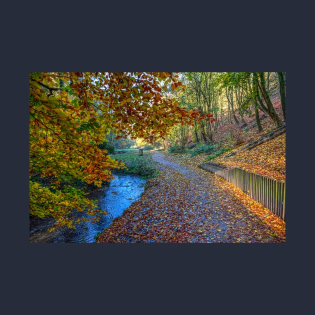 Hubbards Hills, Louth, Lincolnshire, Autumn Leaves by tommysphotos